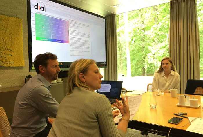 DIAL for Complex Artworks - Expert Meeting